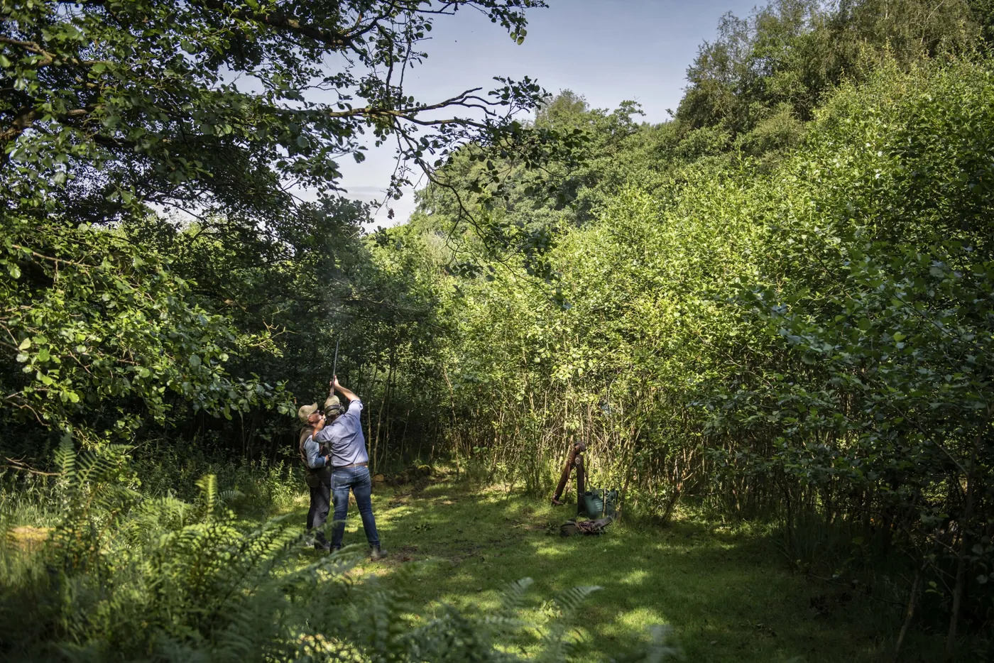 A woodland clearing on a shoot day