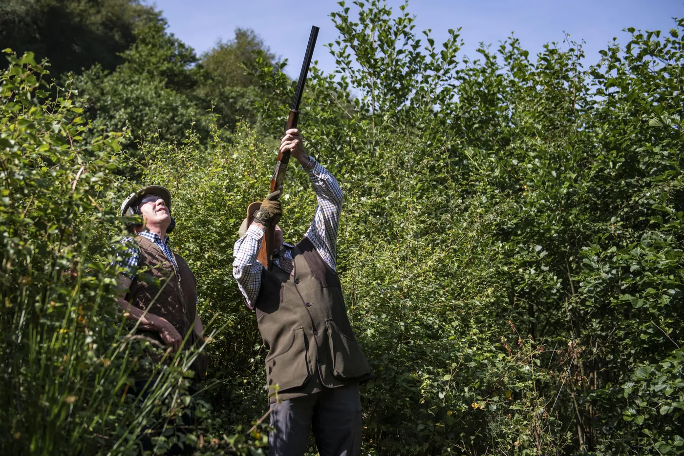 Two shooters in summer woodland
